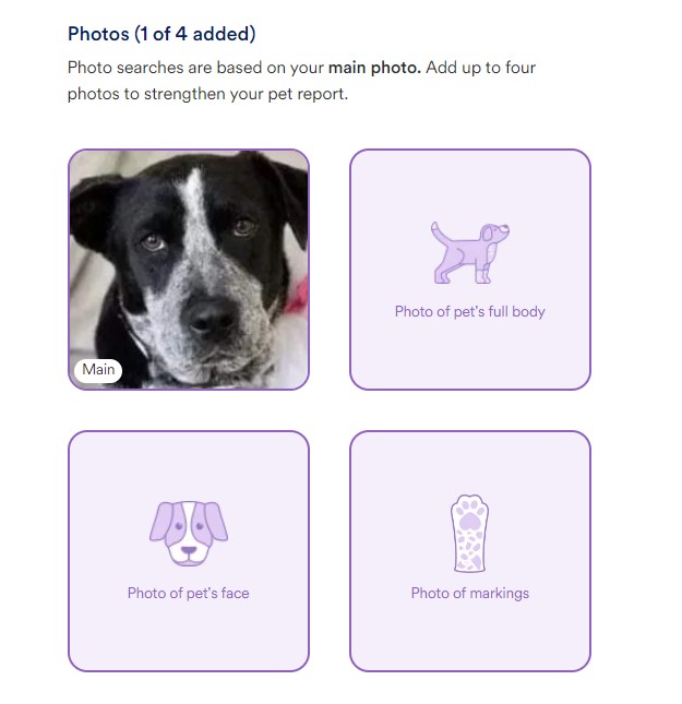 add multiple images.jpg