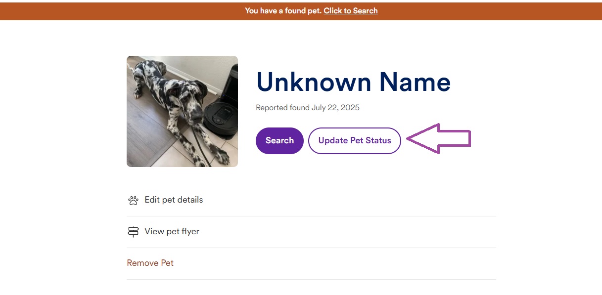 update found pet status.jpg