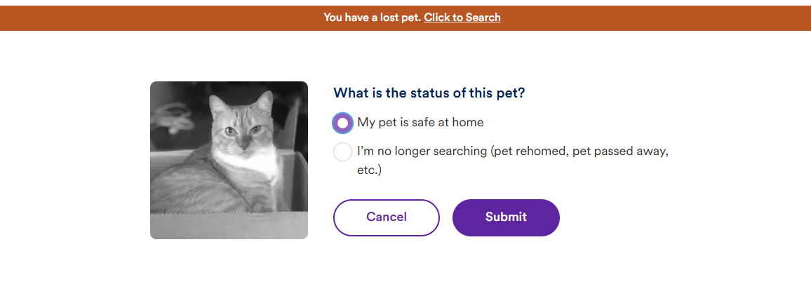 update status submit.png