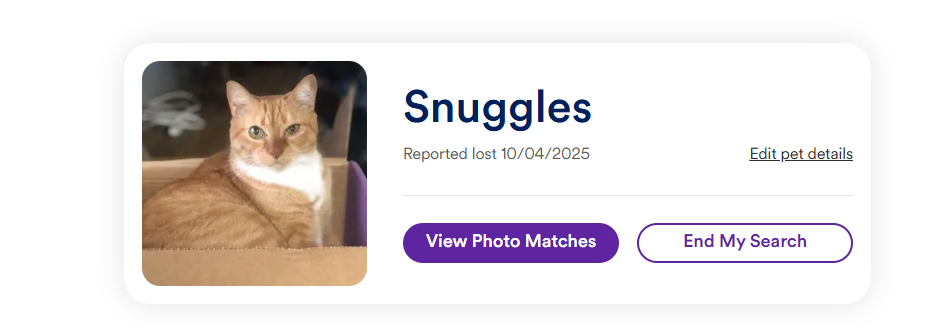 New update lost.png