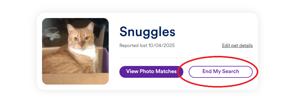 New update lost again.png